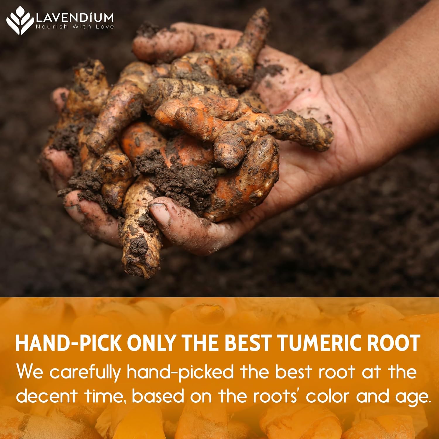 20oz (1.25 lbs) Turmeric Powder, 100% Natural & Pure, Ground, Seasoning Root Powder, No Additives, No Gluten, Vegan.