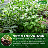 Lavendium, Premium 8oz Dried Basil – 100% Pure, Non-GMO, Gluten-Free, Vegan – Aromatic Culinary Herb for Cooking, Garnish, and Seasoning – No Additives or Preservatives – Resealable Bag