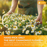 Lavendium, Premium Dried Chamomile Flowers – Whole Chamomile Flower, Premium Quality, 100% Natural & Pure, Naturally Caffeine-Free, No Additives or Preservatives, Plant-Based & Vegan