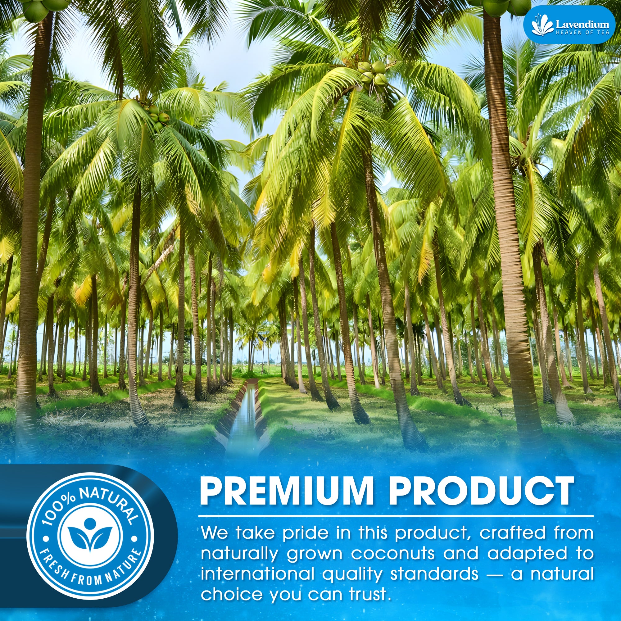 Lavendium, Coconut Milk Powder, 100% Natural, Unsweetened, Perfect for Cake, Coffee, Tea, Creamer Alternative, No Additives, No Gluten, Vegetarian