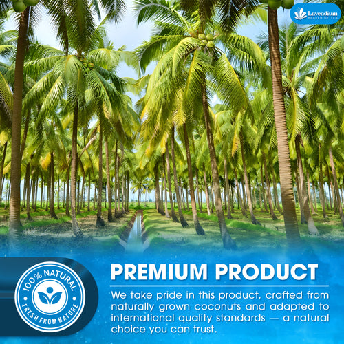 Lavendium, Coconut Milk Powder, 100% Natural, Unsweetened, Perfect for Cake, Coffee, Tea, Creamer Alternative, No Additives, No Gluten, Vegetarian