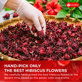 Lavendium, Dried Hibiscus Flowers, 100% Natural & Pure Hibiscus Roselle, No Additives or Preservatives, Non-GMO, Plant-Based & Vegan, Perfect for Tea, Beverages & Herbal Infusions