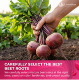 Lavendium Beetroot Powder 8oz – 100% Pure Red Beet Root, Finely Ground, Non-GMO, No Additives or Preservatives, Plant-Based & Vegan, Natural Food Coloring