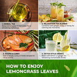 Lavendium, Dried Lemongrass Tea Leaves, 100% Natural & Pure Lemongrass Herb, No Additives or Preservatives, Non-GMO, Plant-Based & Vegan, Perfect for Herbal Tea & Infusions