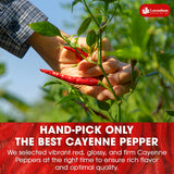 Lavendium, Premium 1.56 lbs Cayenne Pepper Powder– Pure Ground Red Pepper, Bold and Spicy Flavor