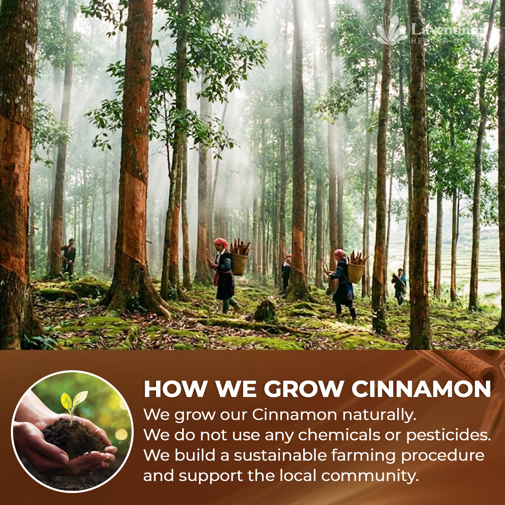 Lavendium, Premium 20oz (1.25 lbs) Cinnamon Powder, 100% Natural & Pure Ground Cinnamon Bark, No Additives or Preservatives, Non-GMO, Gluten-Free, Plant-Based & Vegan, Perfect for Baking, Cooking & Beverages