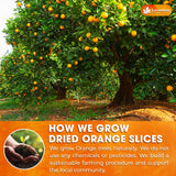 Lavendium, Premium Dried Orange Slices, 100% Natural & Pure, No Additives or Preservatives, Non-GMO, Plant-Based & Vegan, Perfect for Tea, Cocktails, Baking, Holiday Decorations & Crafts