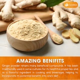 Lavendium, Premium 25oz (1.56 lbs) Ginger Powder – Ground Ginger Root – Pure, No Additives – Ideal for Cooking, Baking, Smoothies, and Spice Blends. No Sugar, No Caffeine, No Gluten, Vegan