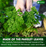 Lavendium, 4 oz Premium Dried Parsley Leaves – 100% Pure, Non-GMO, Gluten-Free, Vegan – Aromatic Culinary Herb for Cooking, Garnish, and Seasoning – No Additives or Preservatives – Resealable Bag