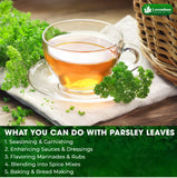 Lavendium, 4 oz Premium Dried Parsley Leaves – 100% Pure, Non-GMO, Gluten-Free, Vegan – Aromatic Culinary Herb for Cooking, Garnish, and Seasoning – No Additives or Preservatives – Resealable Bag