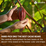 Lavendium, Premium Cacao Powder, 100% Natural & Pure, Unsweetened, Rich Chocolate Flavor, Perfect for Baking & Smoothies No Additives, No Gluten, Vegan