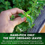 Lavendium, Premium 8 oz Dried Oregano Leaves – 100% Pure, Non-GMO, Gluten-Free, Vegan – Aromatic Herb for Cooking, Seasoning, Sauces, and Pizza – No Additives – Resealable Bag